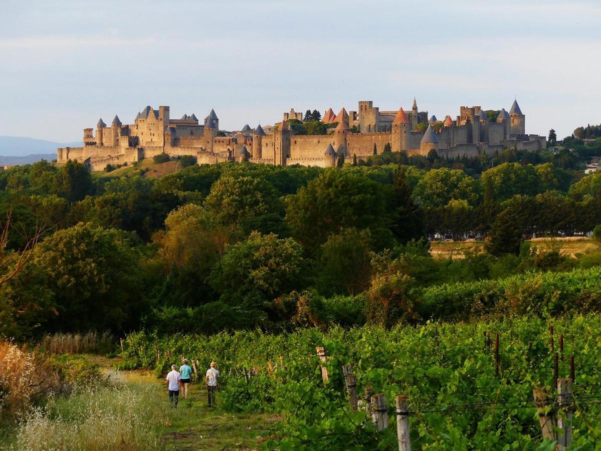 Сasa de vacaciones La Maison Des Chapeliers